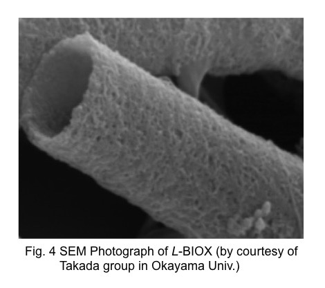 SEM photograph of L-BIOX